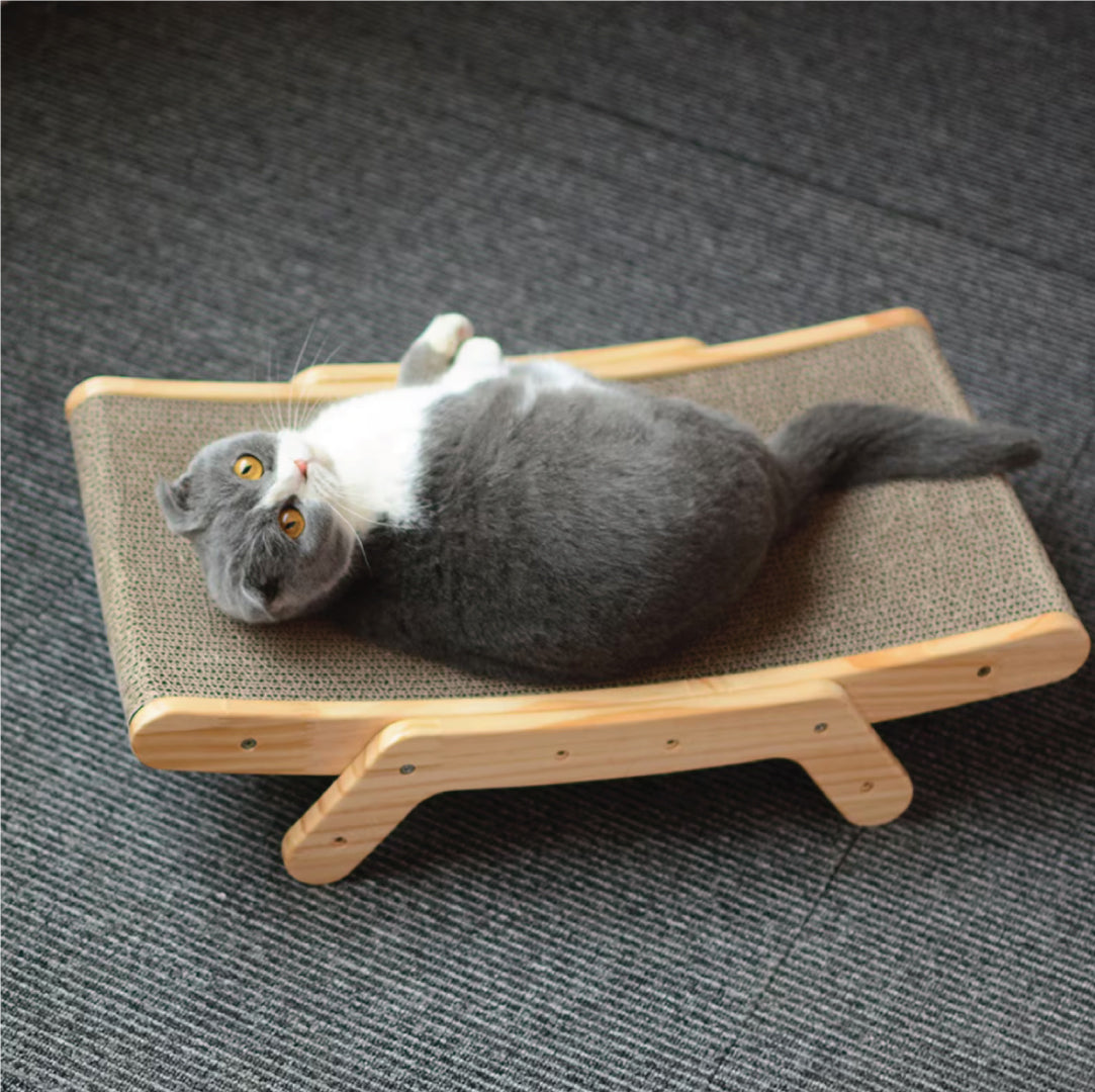 Protect your Furniture and Satisfy your Cat's Natural Instincts