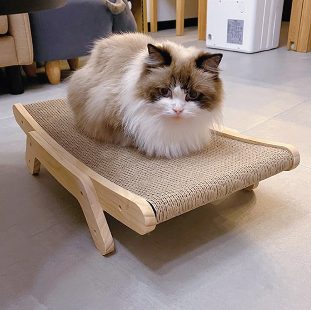 Protect your Furniture and Satisfy your Cat's Natural Instincts