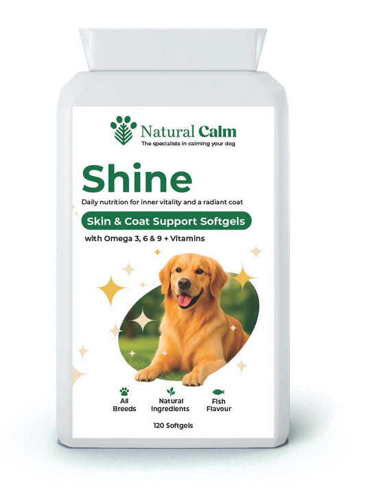 Shine – Skin & Coat Support Softgels