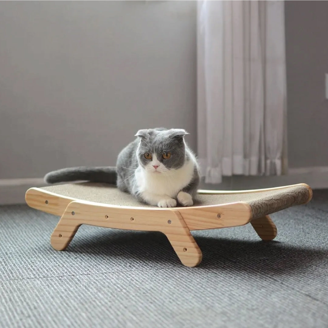 Protect your Furniture and Satisfy your Cat's Natural Instincts