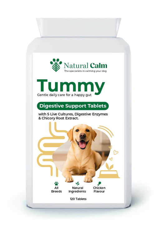 Tummy – Digestive Support Tablets