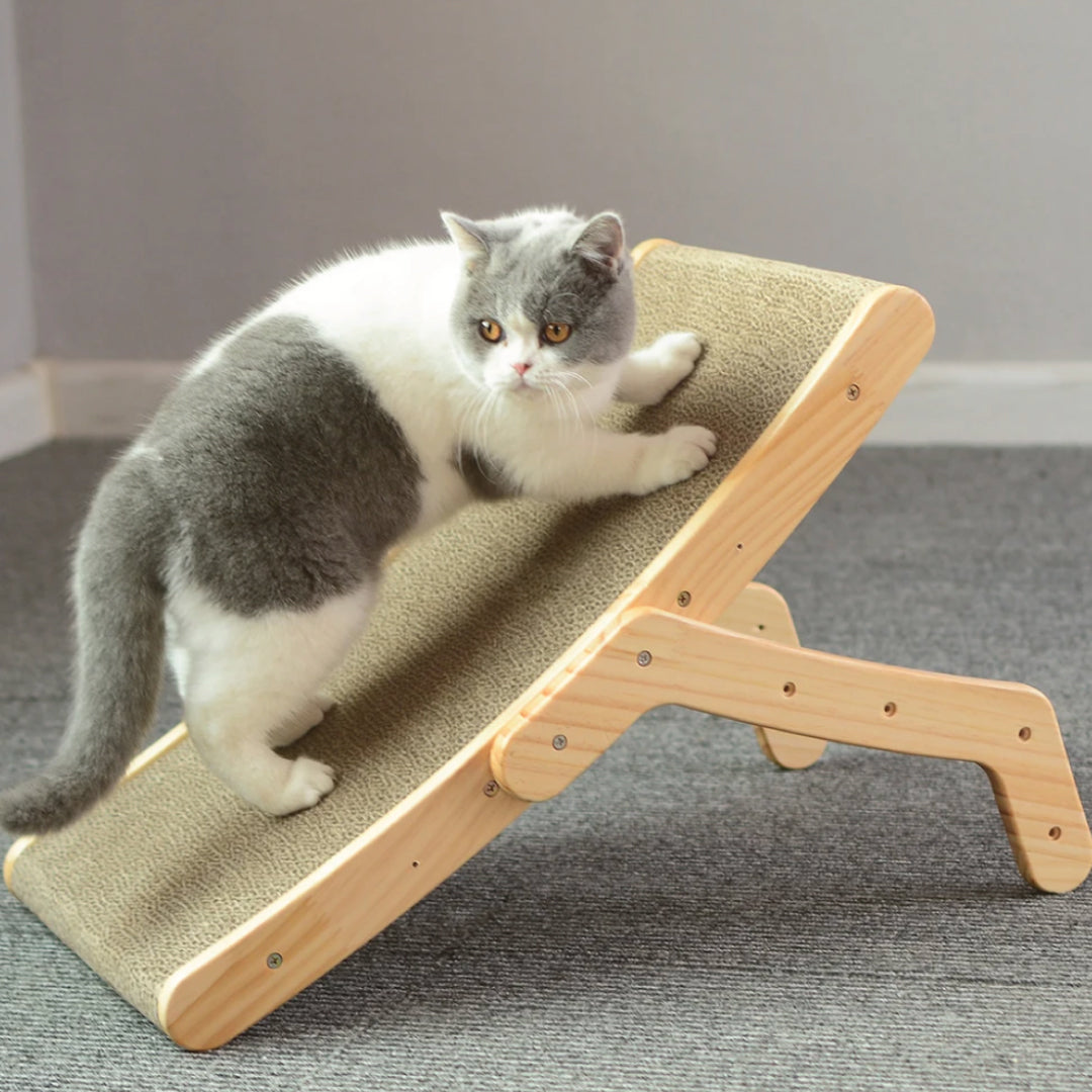 Protect your Furniture and Satisfy your Cat's Natural Instincts
