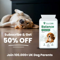Balance - Calming Tablets (Copy)