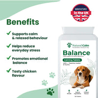 Balance - Calming Tablets (Copy)