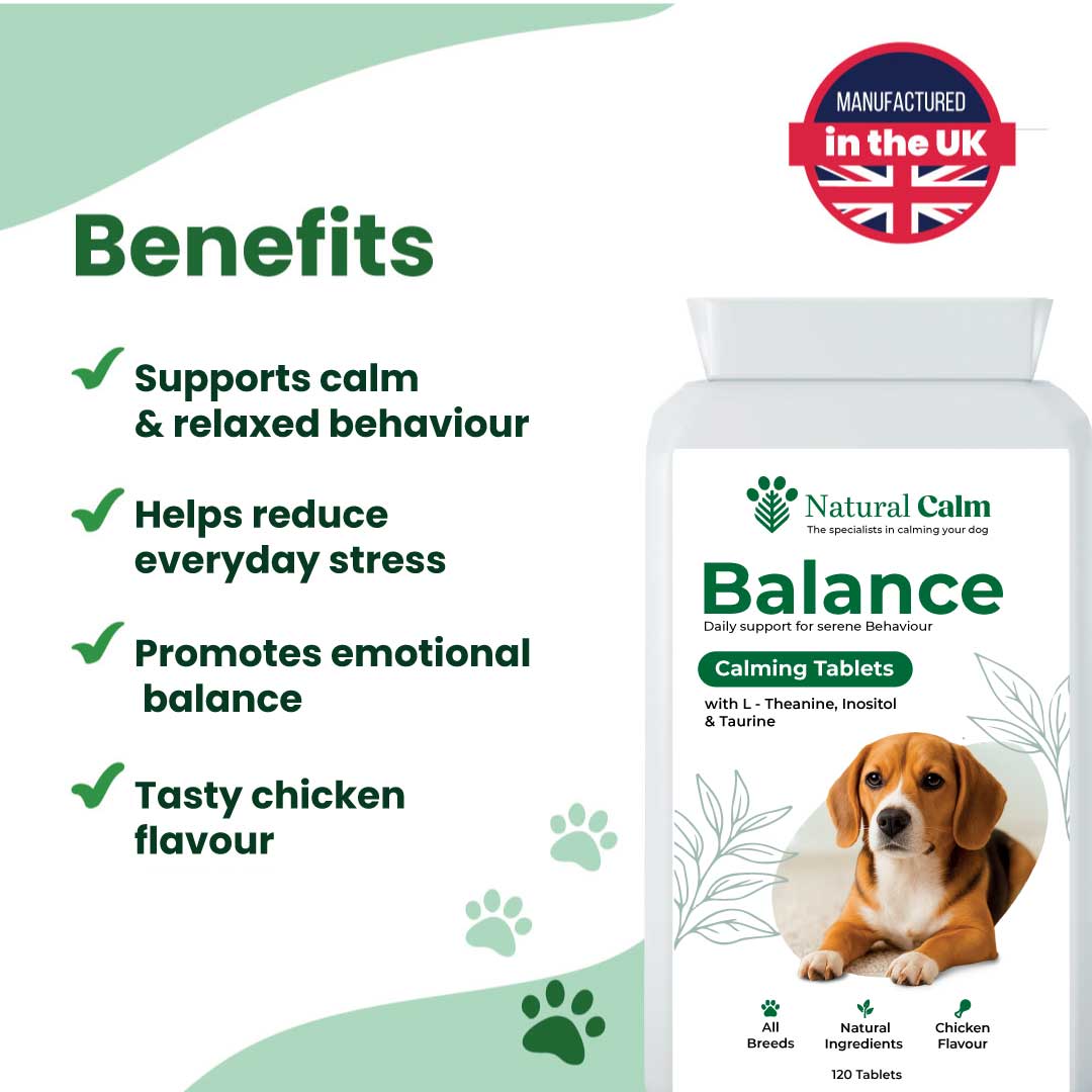 Balance - Calming Tablets (Copy)