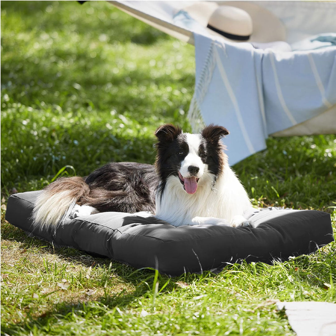 Premium Dog Mat