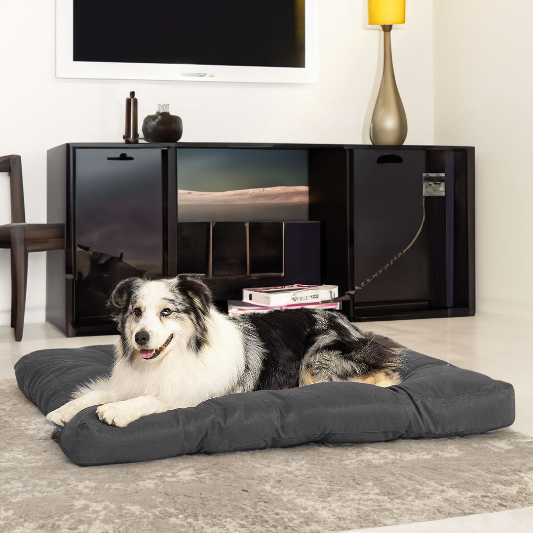 Premium Dog Mat