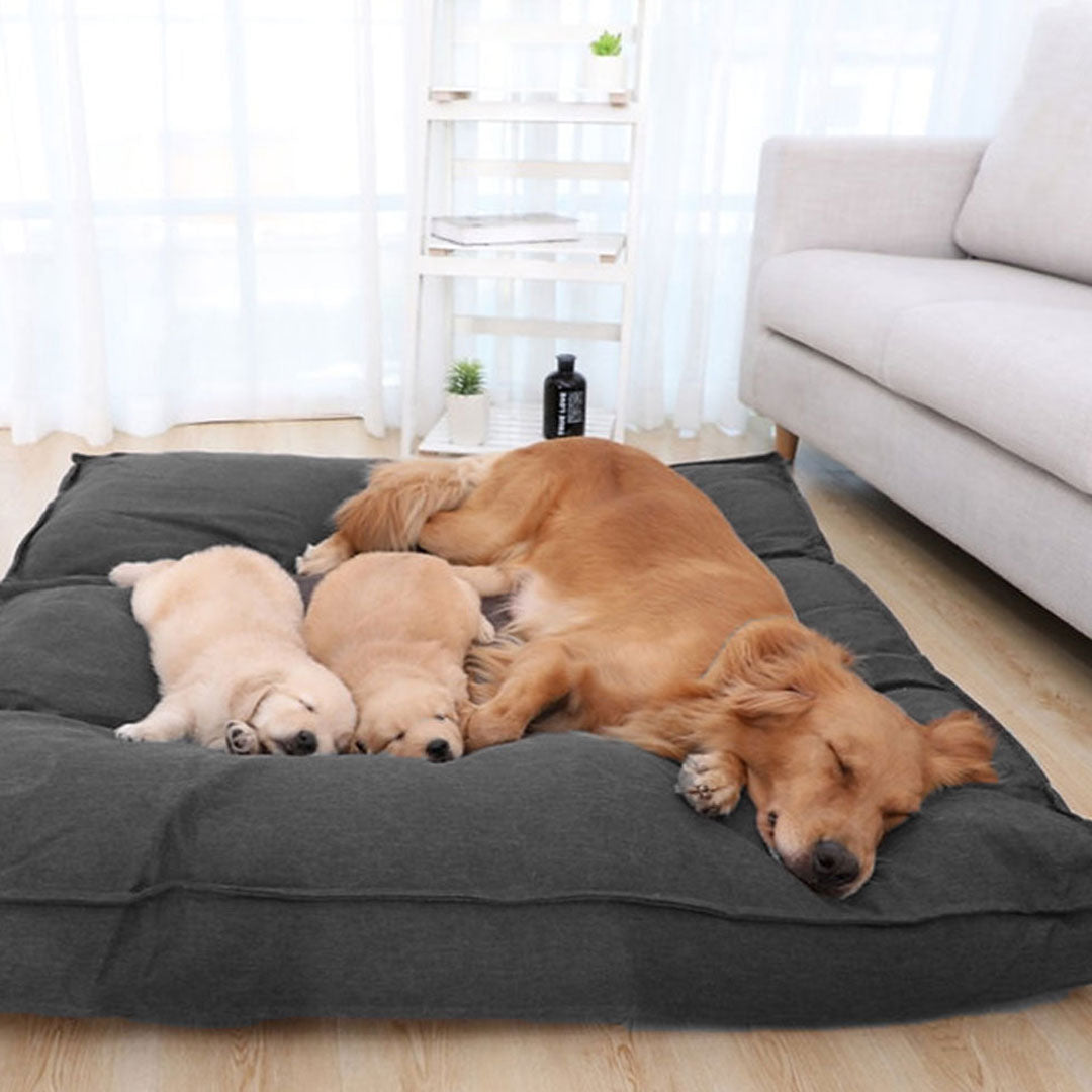Premium Dog Mat
