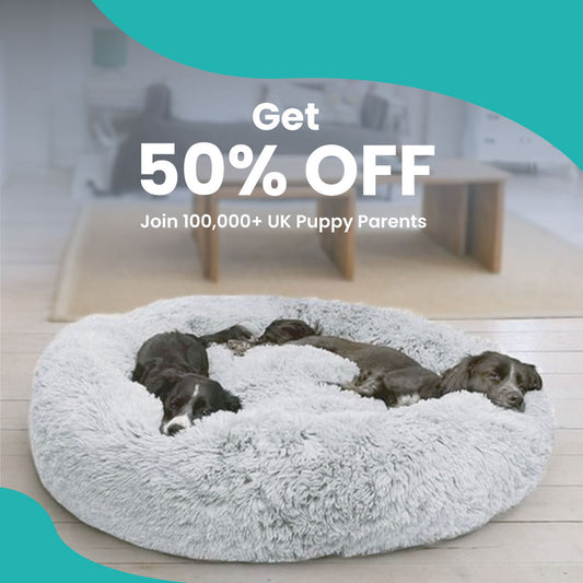 Natural Calm - Calming Dog Bed
