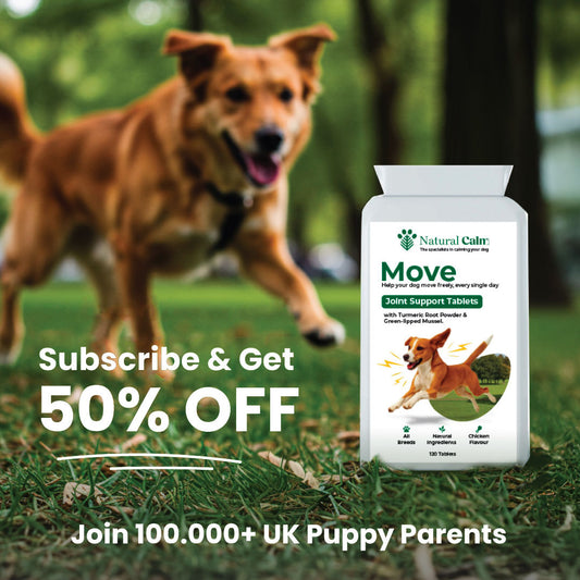 Move - Joint Support Tablets
