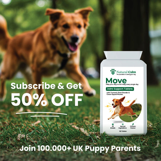 Move - Joint Support Tablets