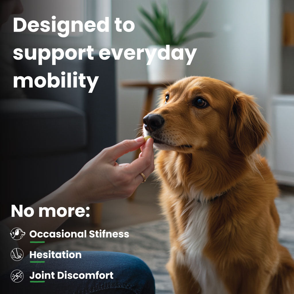 Move - Joint Support Tablets