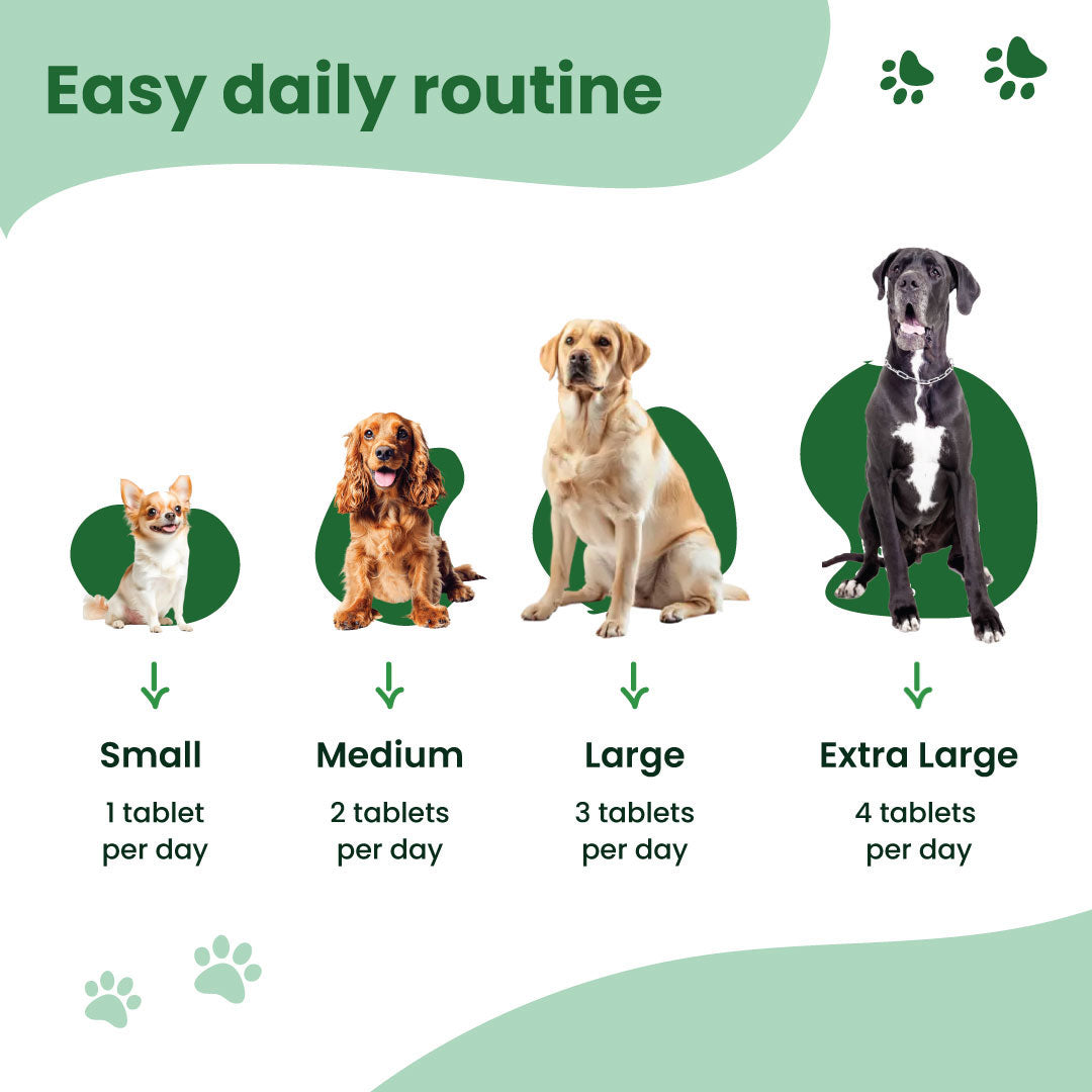 Move - Joint Support Tablets