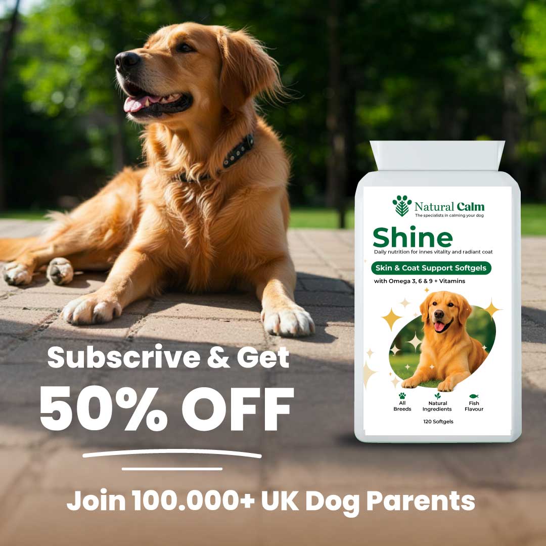 Shine – Skin & Coat Support Softgels