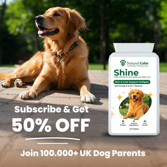Shine – Skin & Coat Support Softgels