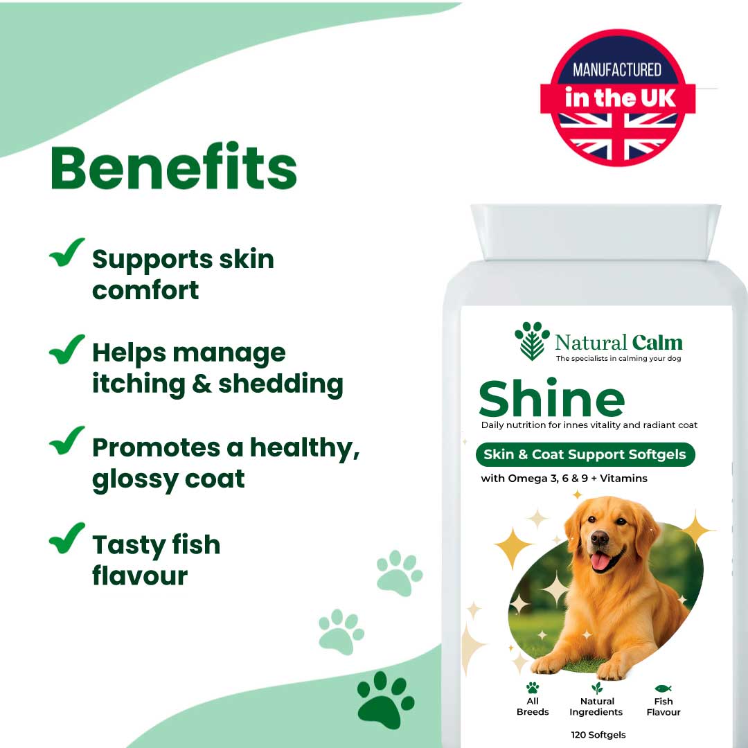 Shine – Skin & Coat Support Softgels