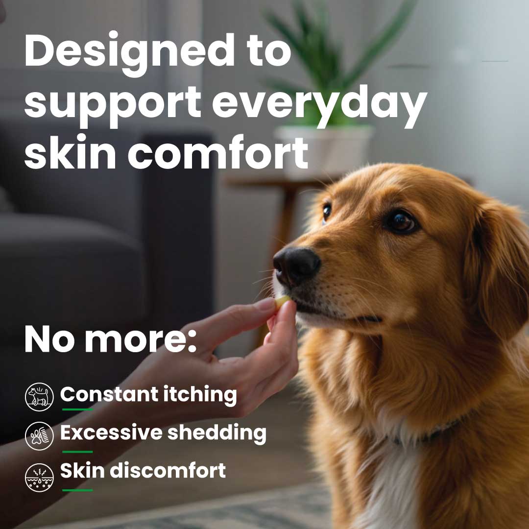 Shine – Skin & Coat Support Softgels