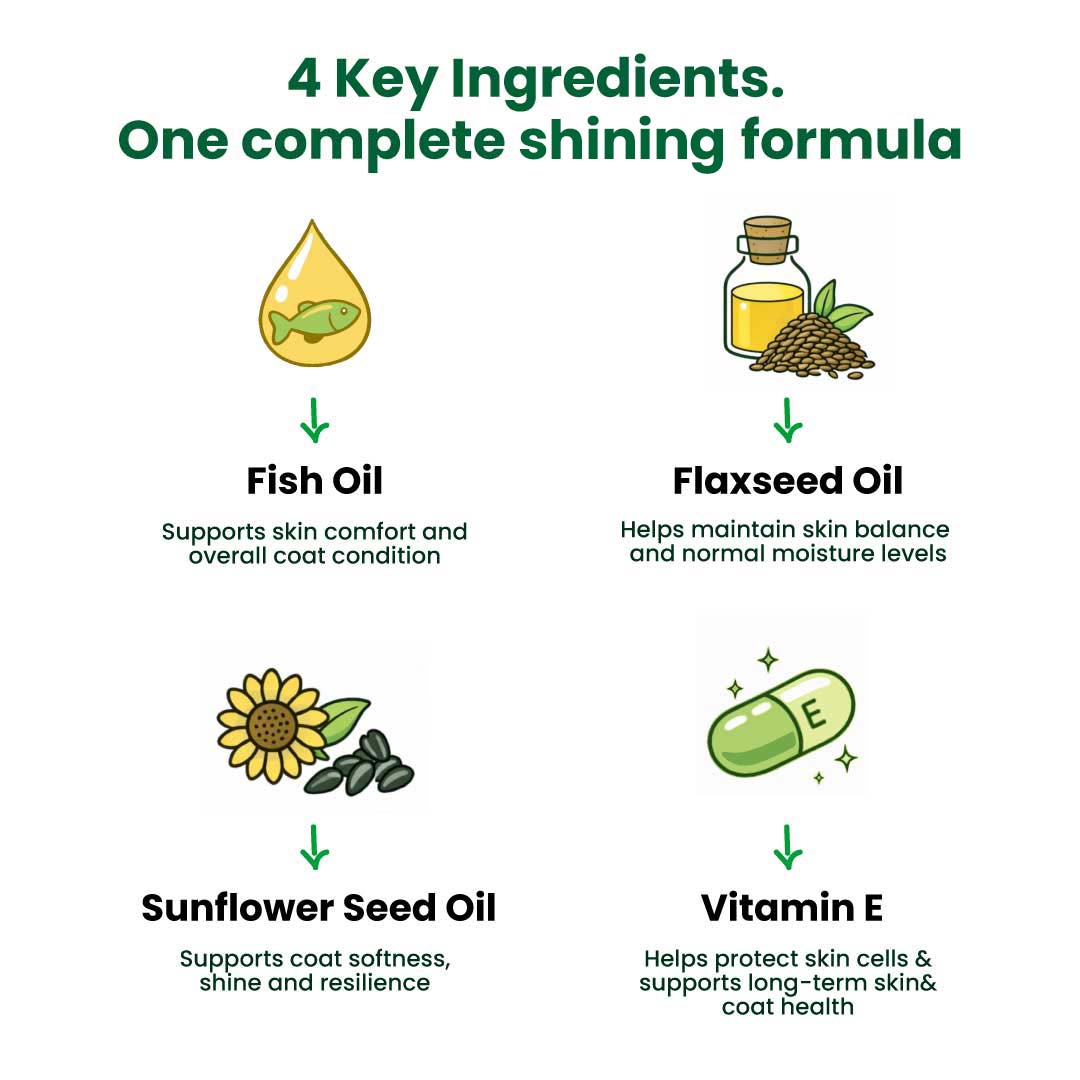 Shine – Skin & Coat Support Softgels