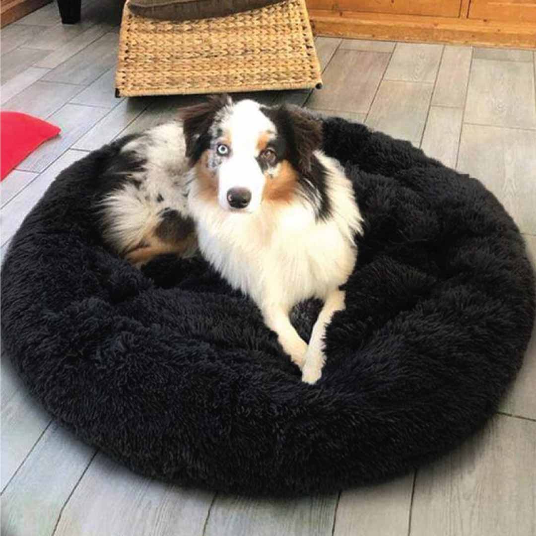 Natural Calm - Calming Dog Bed