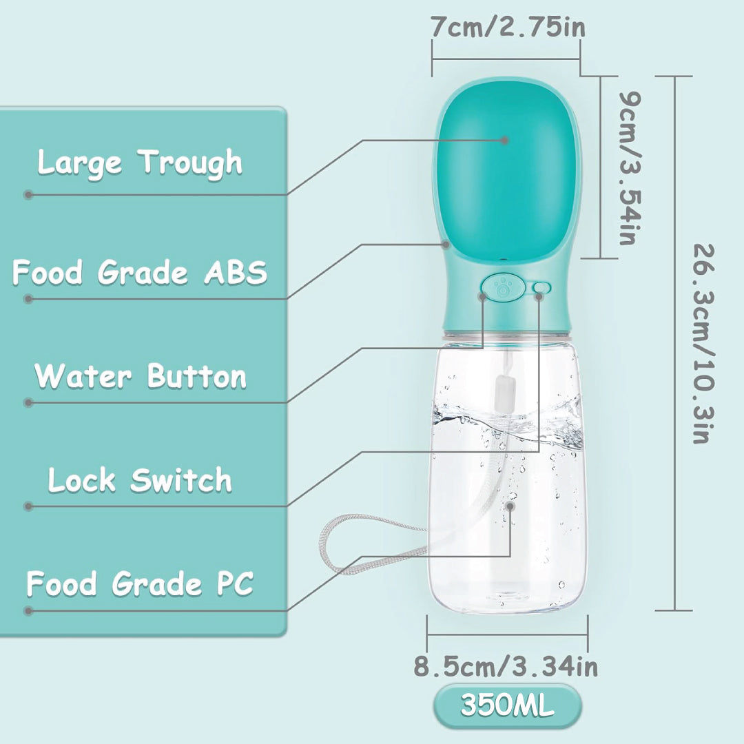Keep Your Furry Friend Active and Hydrated All Summer Long!