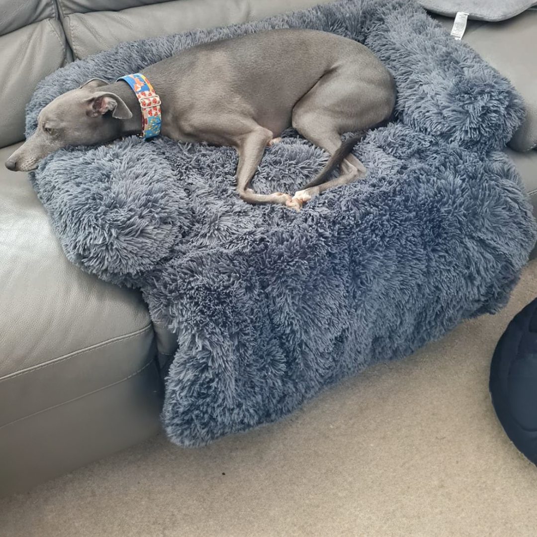 Dog Sofa Cover