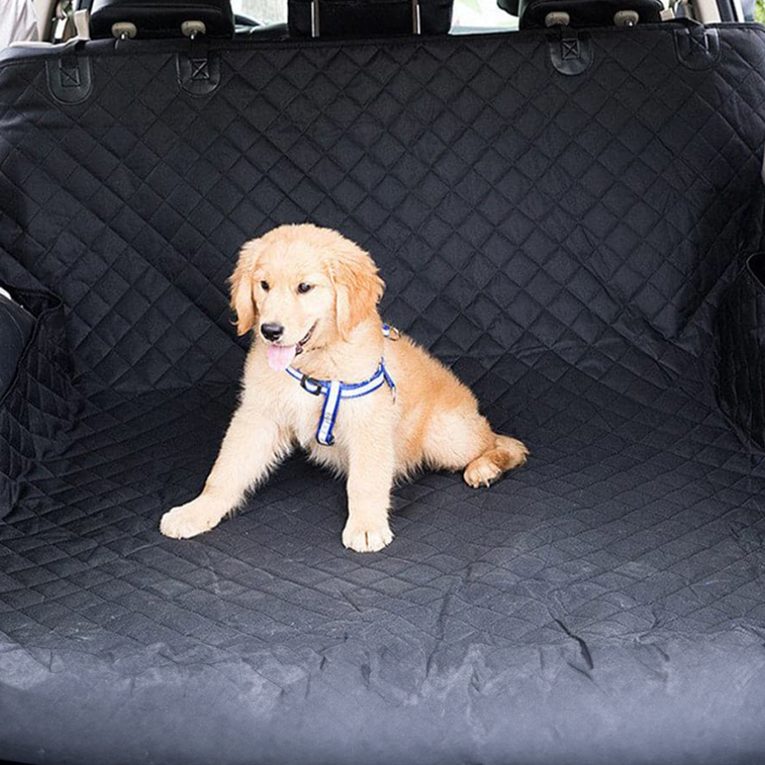 Stunning Best Car Seat Cover For Puppies With Compulsive Behaviors image