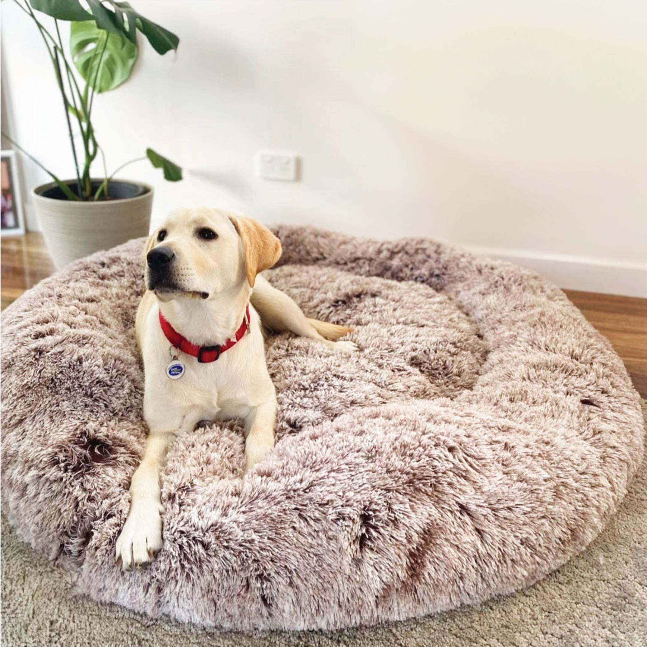 Calming Dog Bed from Natural Calm | Your Pet Deserves a Comfy Bed