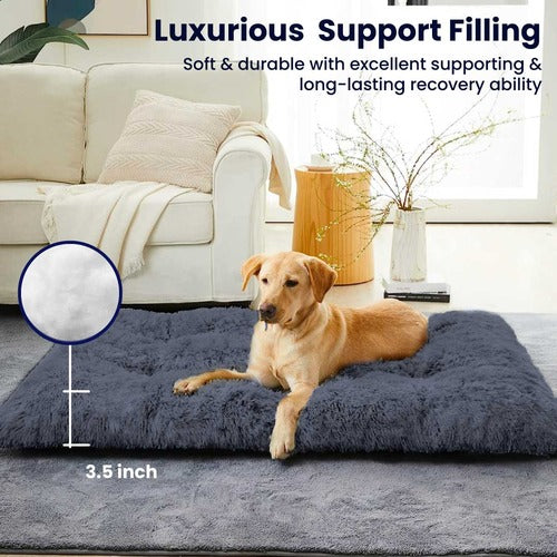 Calming Dog Mat
