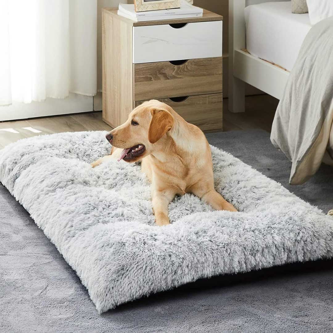 Calming Dog Mat