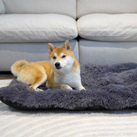 Calming Dog Mat