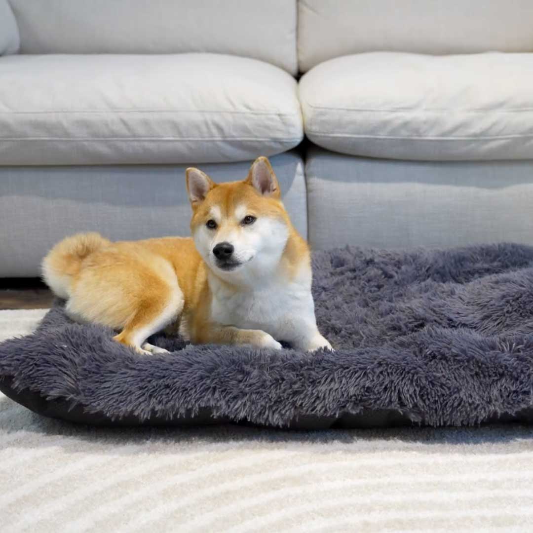 Calming Dog Mat
