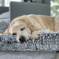 Calming Dog Mat