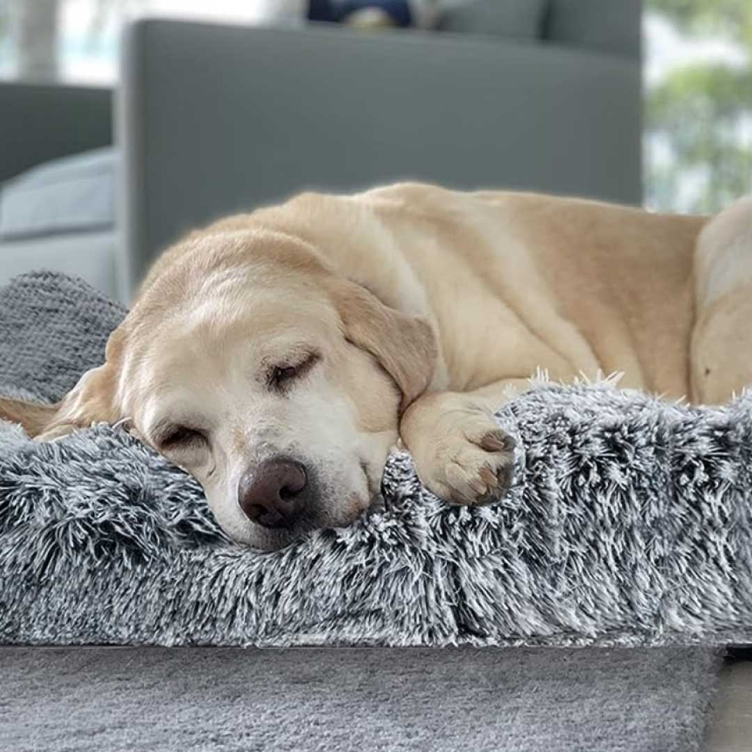 Calming Dog Mat