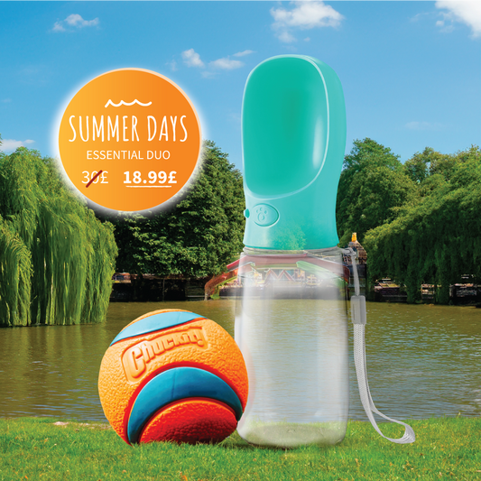 Keep Your Furry Friend Active and Hydrated All Summer Long!