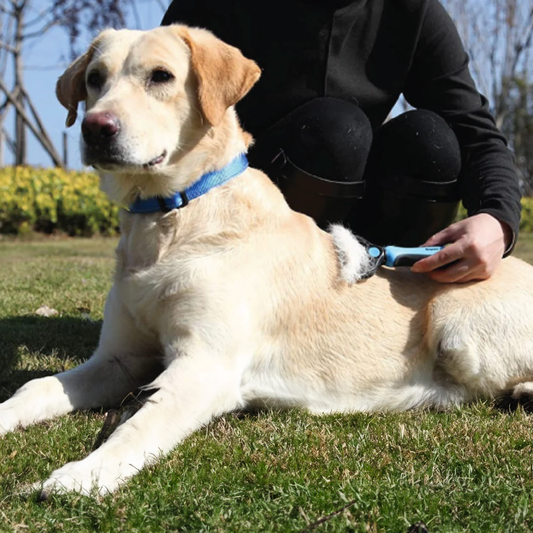 Pet Grooming Comb