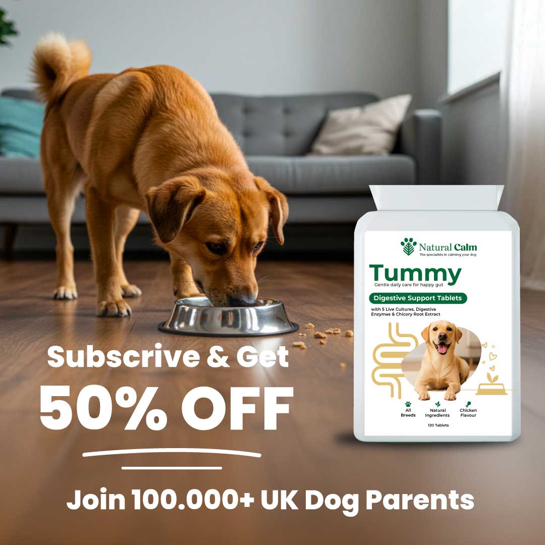 Tummy – Digestive Support Tablets