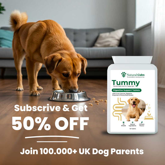 Tummy – Digestive Support Tablets