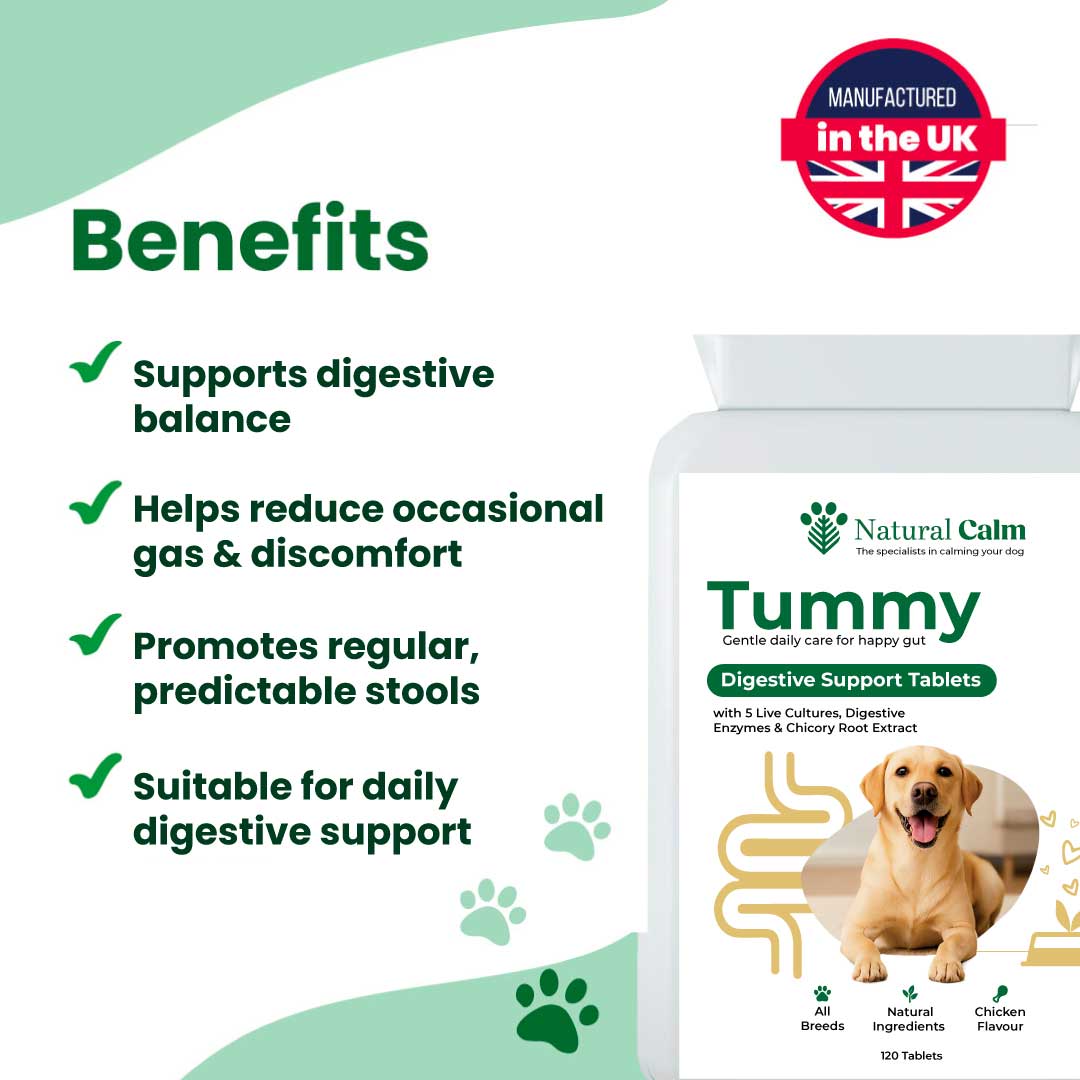 Tummy – Digestive Support Tablets
