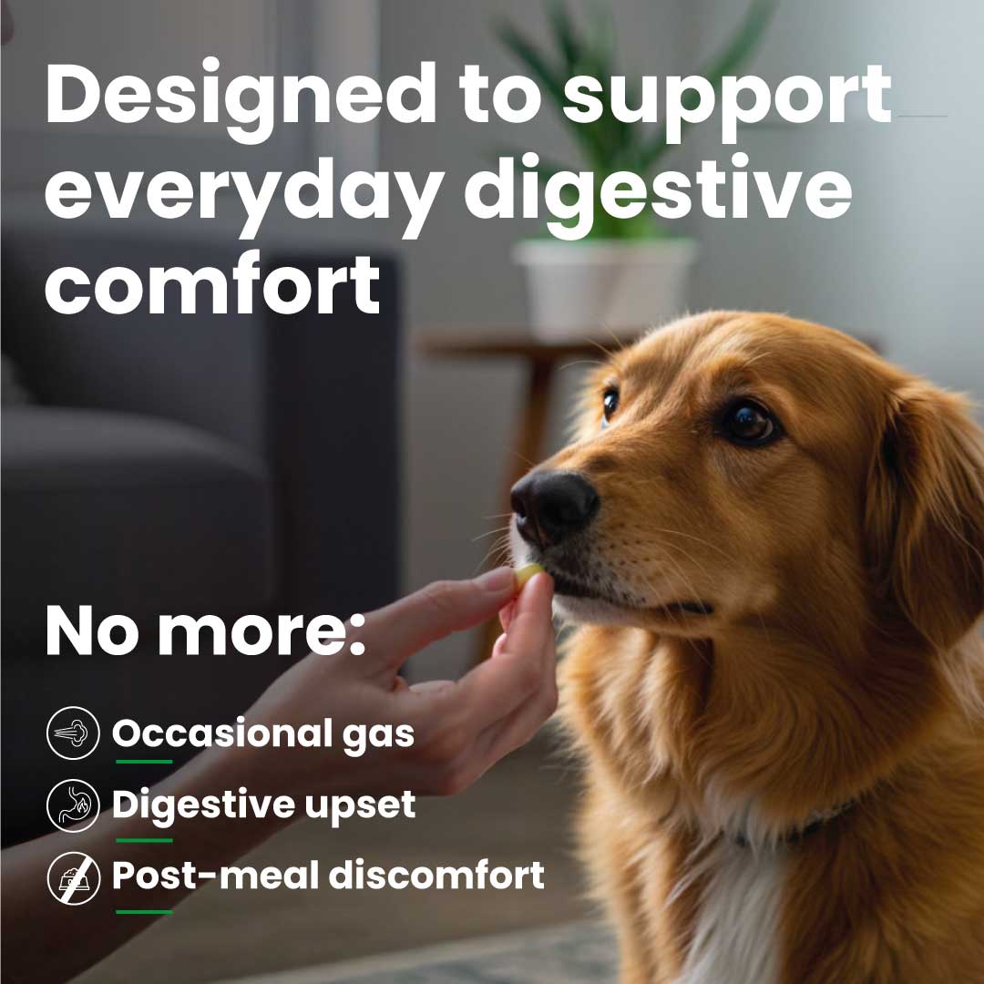 Tummy – Digestive Support Tablets