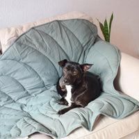 Pet Leaf Blanket