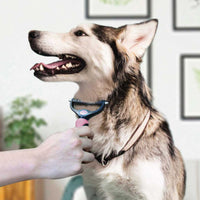 FREE - Pet Grooming Comb