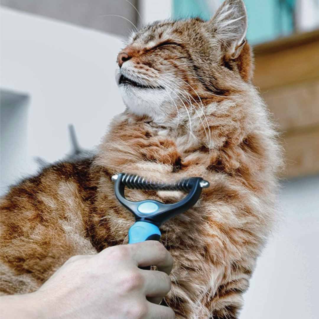 FREE - Pet Grooming Comb